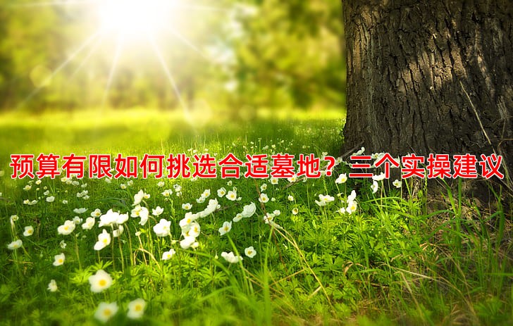 预算有限如何挑选合适墓地？三个实操建议