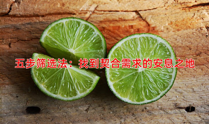 五步筛选法：找到契合需求的安息之地