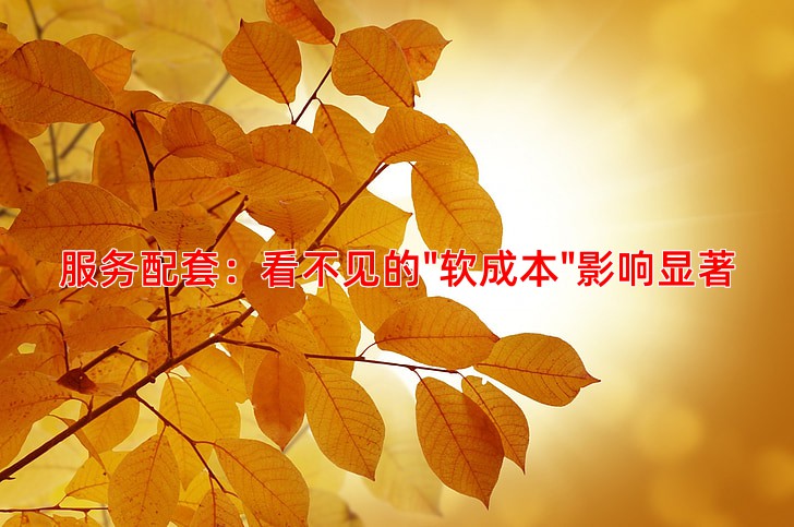 服务配套：看不见的"软成本"影响显著