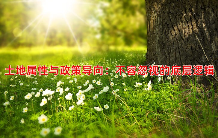 土地属性与政策导向：不容忽视的底层逻辑