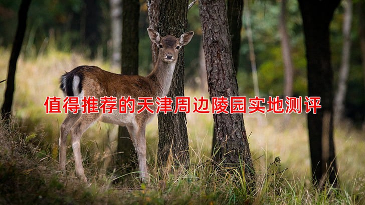 值得推荐的天津周边陵园实地测评