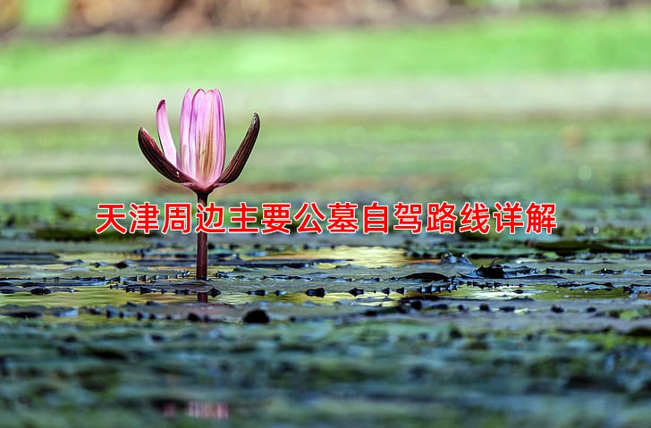 天津周边主要公墓自驾路线详解