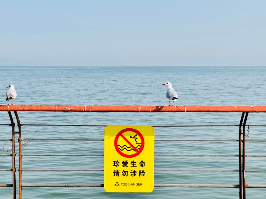 天津公墓看着都差不多?去现场先抓这4个细?