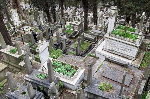 天津公墓排名怎么看？先分清这四种参考维度