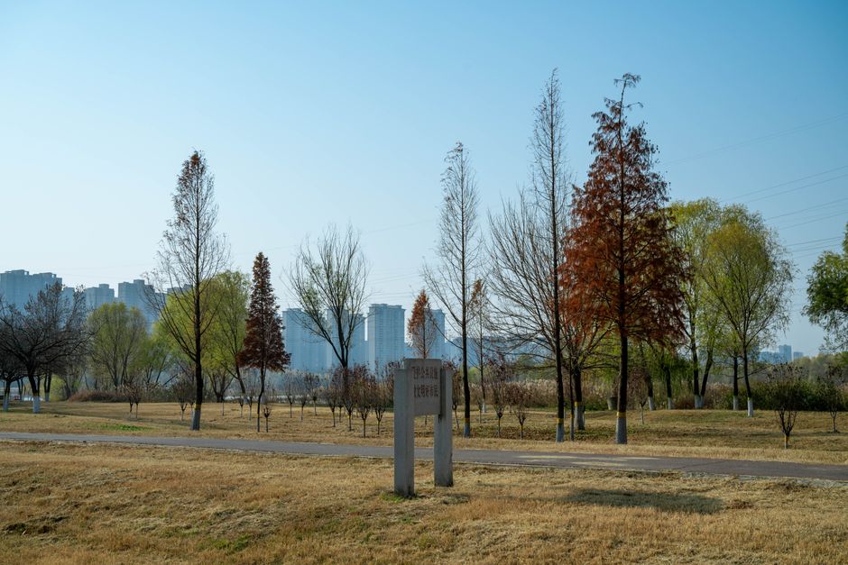 永定塔陵合法性疑虑实地核验：从证件公示到园区管理的全程确认