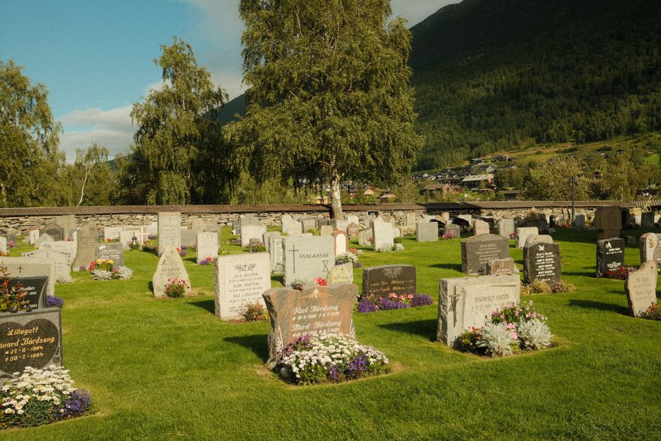 北京树葬价格一览表，问价前先看这3点