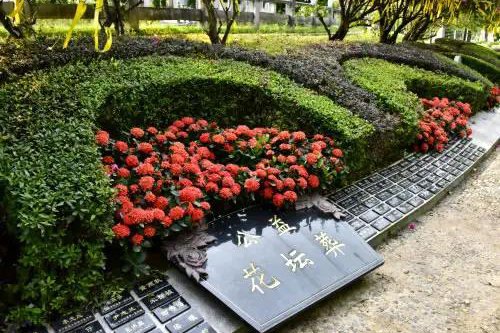 花坛葬标准穴
