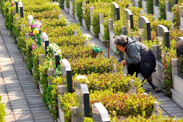 艺术花坛葬