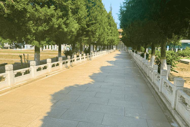 西园公墓地址导航更新，自驾公交各有贴心提示
