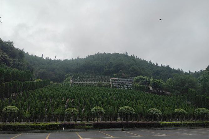 西园公墓官网信息更新：如何快速找到服务栏目与联系方式