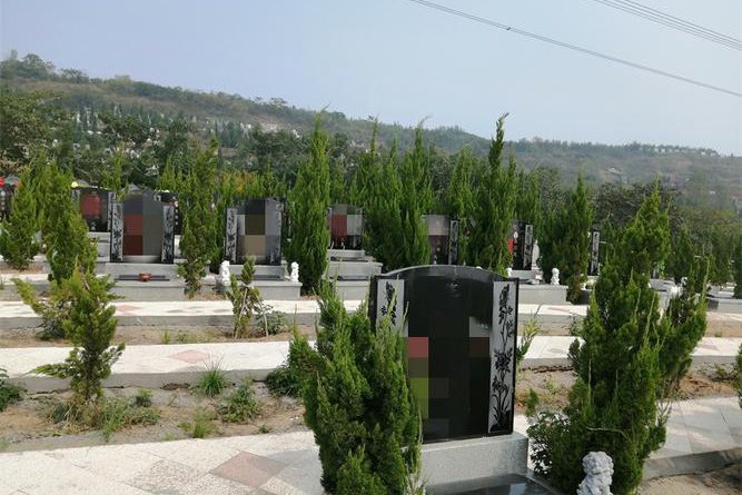 家属咨询新闻资讯时,先确认哪几件事