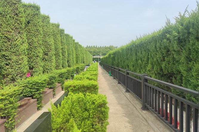 兰生园公墓价格表常见问题：影响墓位费用的几个因素