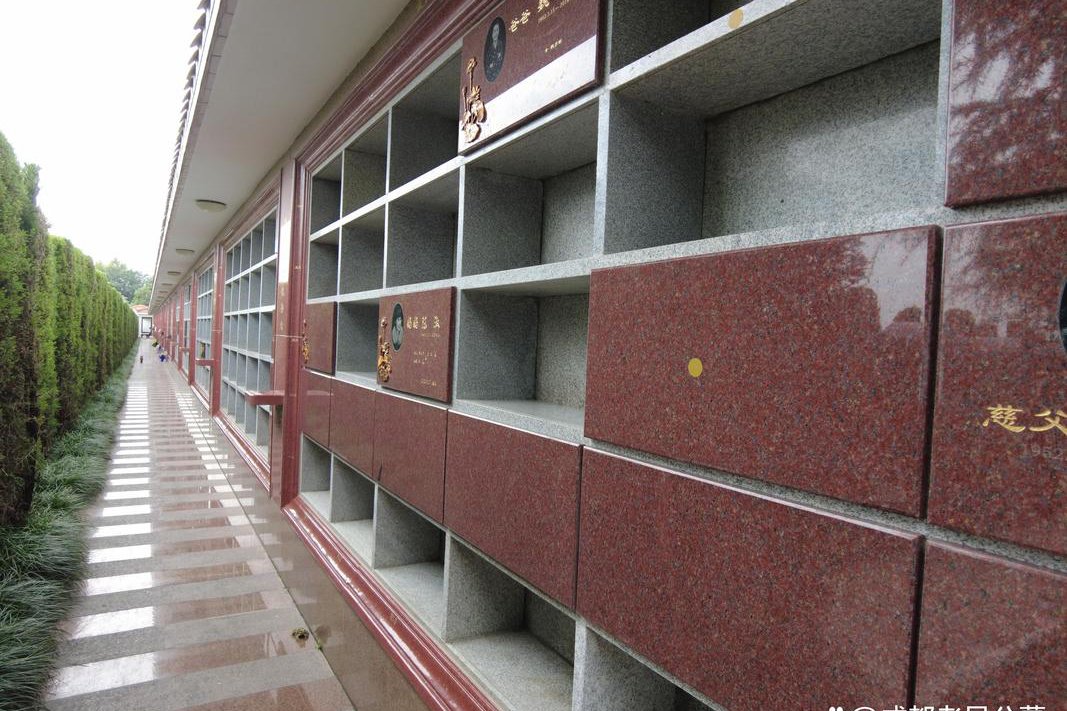 壁葬 双人格