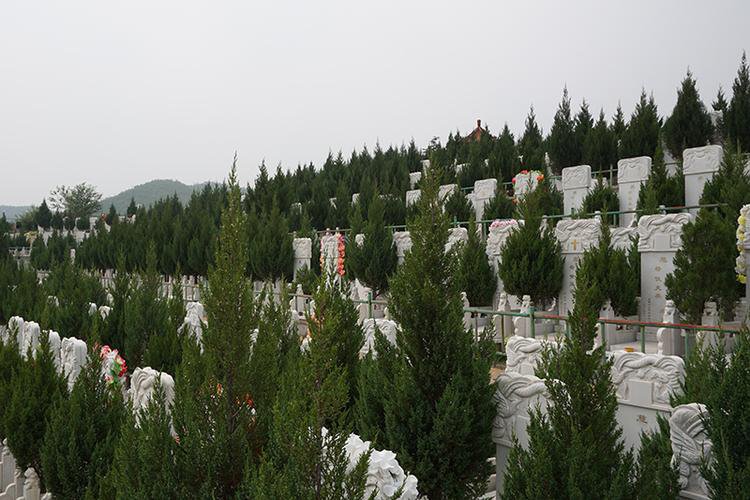 兰生园公墓官网使用指南：快速查找服务信息