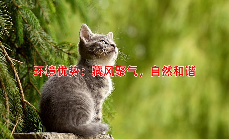 环境优势：藏风聚气，自然和谐