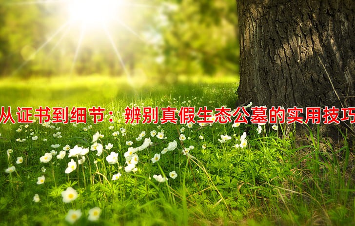 从证书到细节：辨别真假生态公墓的实用技巧