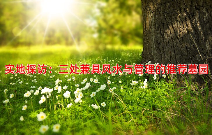 实地探访：三处兼具风水与管理的推荐墓园