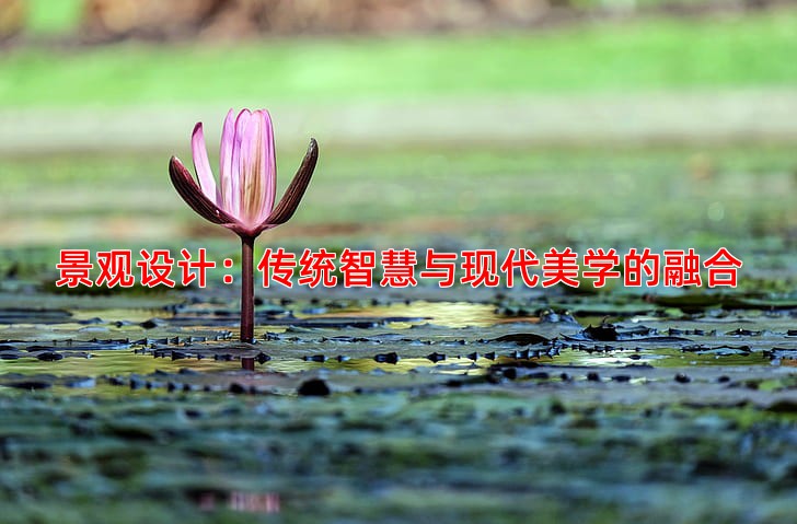 景观设计：传统智慧与现代美学的融合