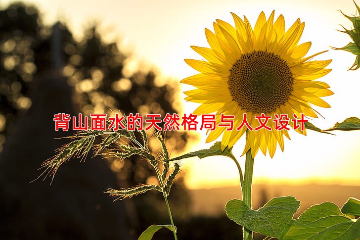 背山面水的天然格局与人文设计