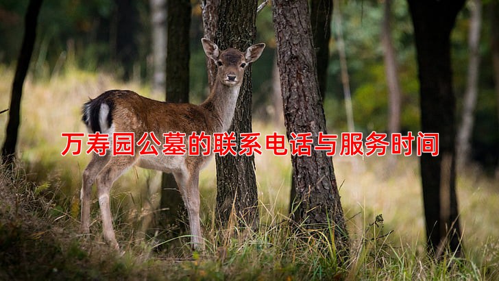 万寿园公墓的联系电话与服务时间