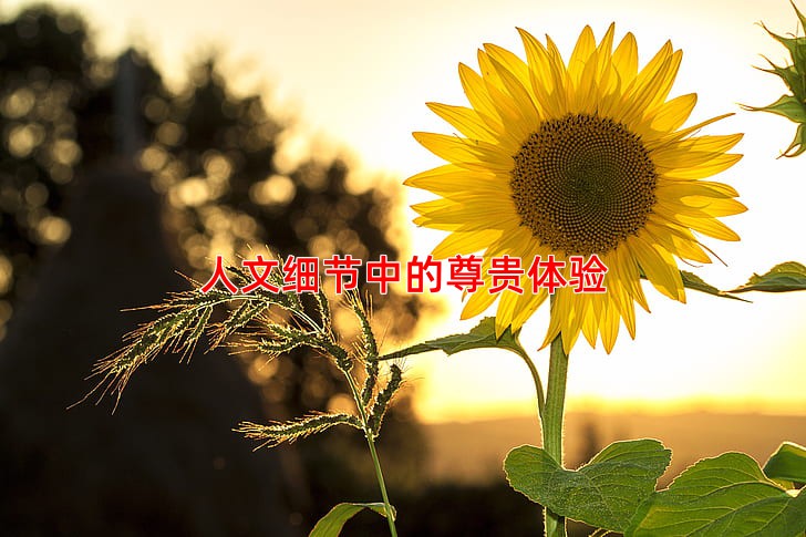 人文细节中的尊贵体验