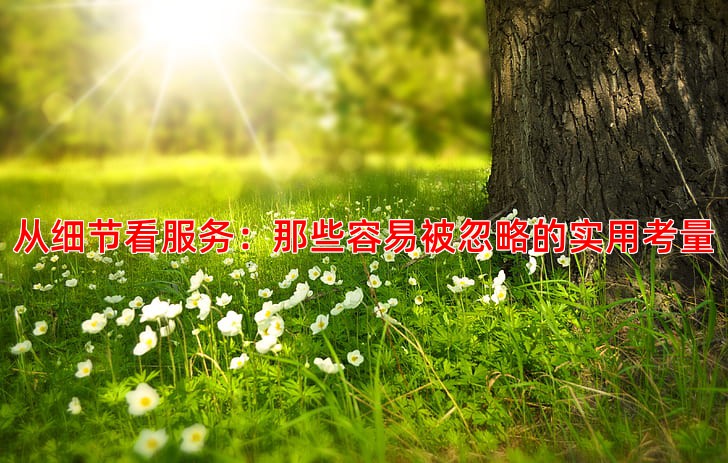 从细节看服务：那些容易被忽略的实用考量