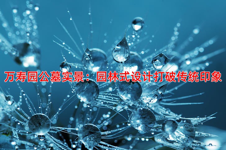 万寿园公墓实景：园林式设计打破传统印象