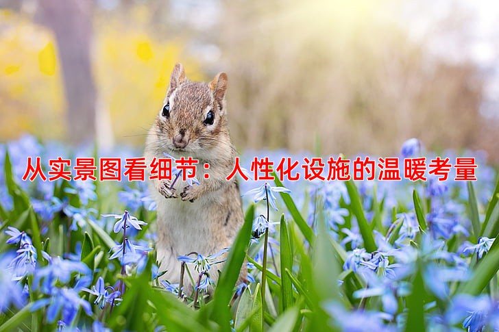 从实景图看细节：人性化设施的温暖考量
