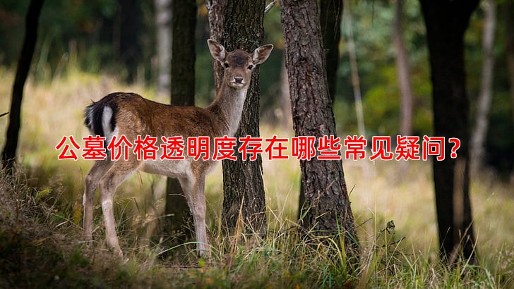 公墓价格透明度存在哪些常见疑问？