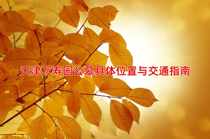 天津万寿园公墓具体位置与交通指南