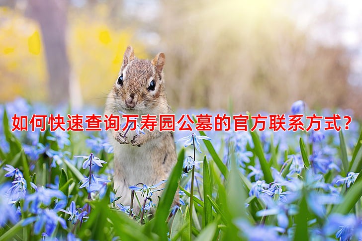 如何快速查询万寿园公墓的官方联系方式？