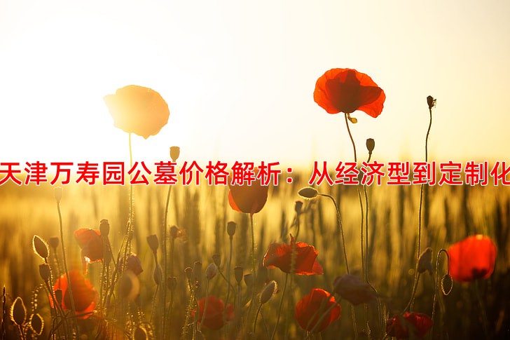 天津万寿园公墓价格解析：从经济型到定制化