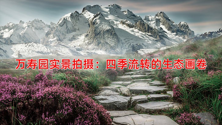 万寿园实景拍摄：四季流转的生态画卷