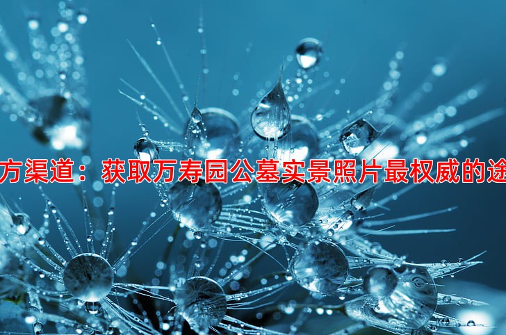 官方渠道：获取万寿园公墓实景照片权威的途径