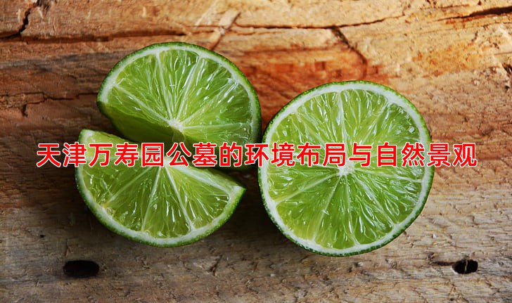 天津万寿园公墓的环境布局与自然景观