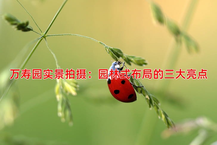 万寿园实景拍摄：园林式布局的三大亮点