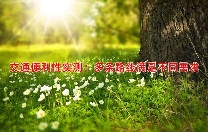 交通便利性实测：多条路线满足不同需求