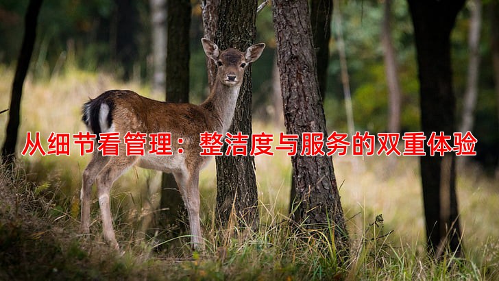 从细节看管理：整洁度与服务的双重体验