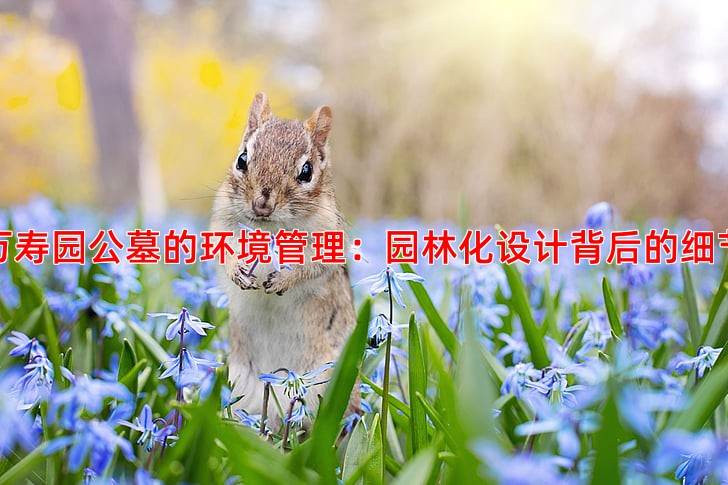 万寿园公墓的环境管理：园林化设计背后的细节