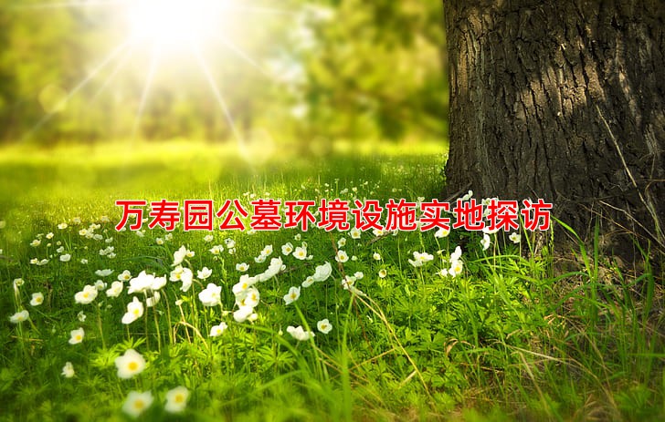 万寿园公墓环境设施实地探访