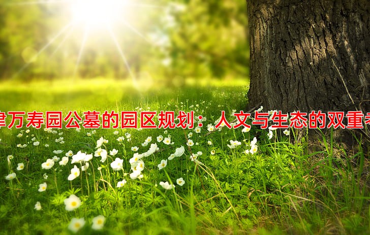 天津万寿园公墓的园区规划：人文与生态的双重考量