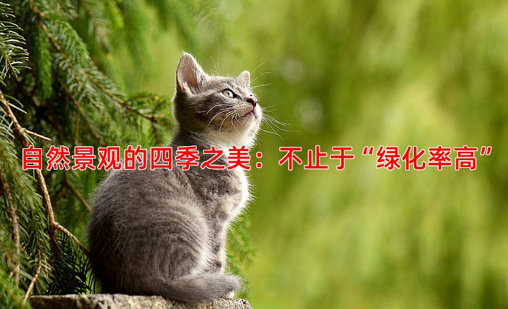 自然景观的四季之美：不止于“绿化率高”