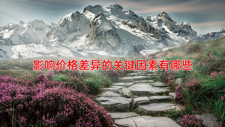 影响价格差异的关键因素有哪些