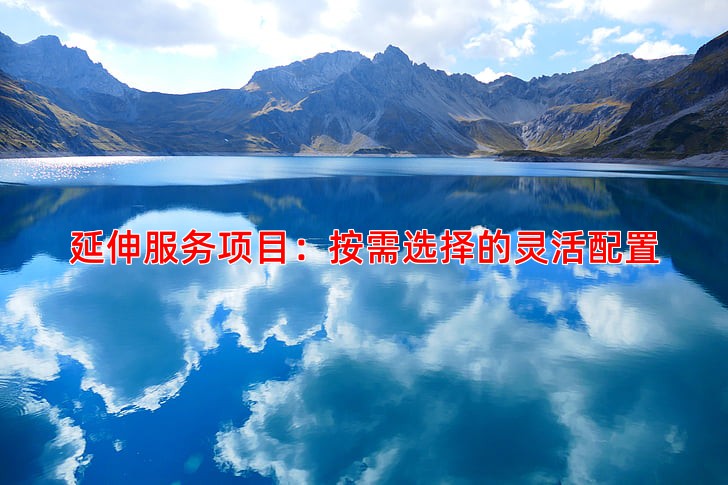 延伸服务项目：按需选择的灵活配置