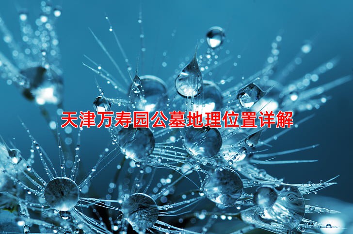 天津万寿园公墓地理位置详解