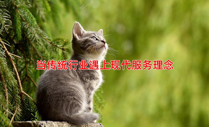 当传统行业遇上现代服务理念