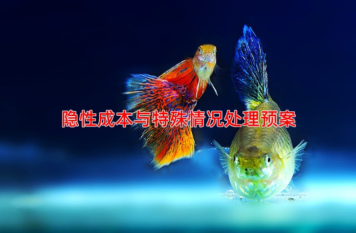 隐性成本与特殊情况处理预案