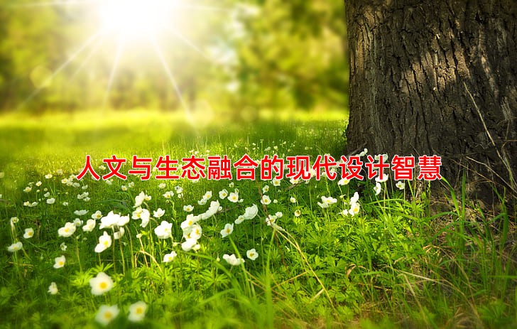 人文与生态融合的现代设计智慧