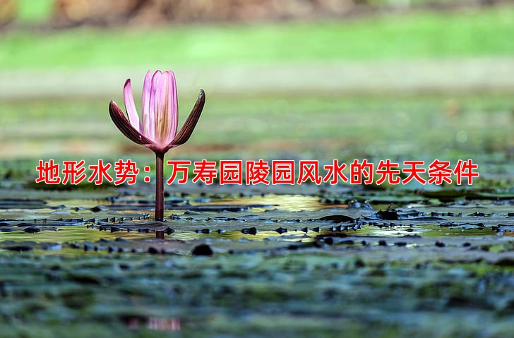 地形水势：万寿园陵园风水的先天条件