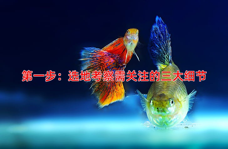 第一步：选地考察需关注的三大细节